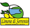 Limoni Di Sorrento